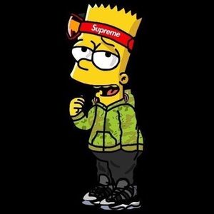 Meet your Posher, Gavin